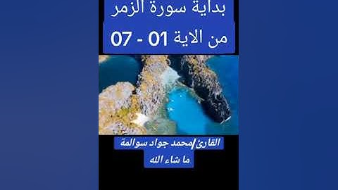 سورة الزمر 01-07 : القارئ /محمد جواد سوالمة