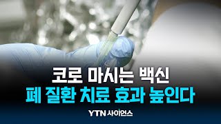 백신을 코로 마신다?...폐질환 치료효능 높인 전달체 개발 | 과학뉴스 24.10.21