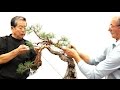 SakkaTen Bonsai demo by Kunio Kobayashi