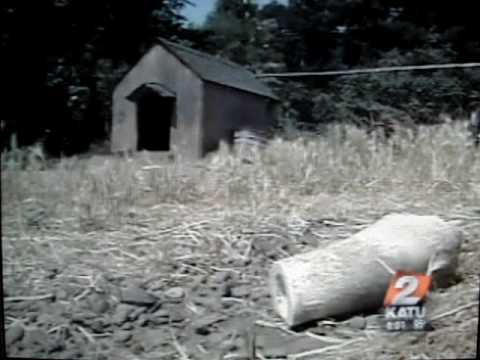 Trailer trash losers kill family pet