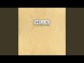 Shellac - At Action Park