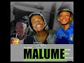 Malume (feat. TallexQ) (Nta swi byela mani revisit) (Elvirgo & Lah
