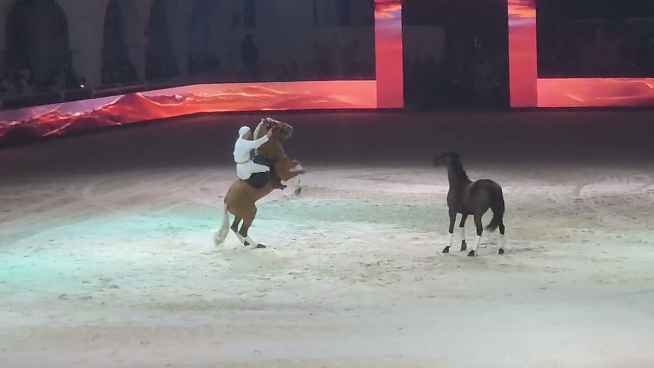 CSI5* President Cup Showjumping Closing Ceremony, Abu Dhabi Equestrian Club 2026🐎🐴 ❤️