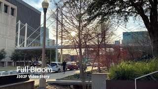 Full Bloom - J302F Video Story