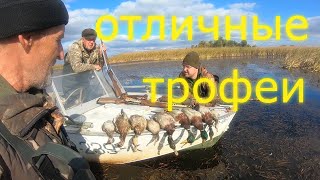 ОХОТА на УТКУ.  ОТЛИЧНЫЕ  ТРОФЕИ,