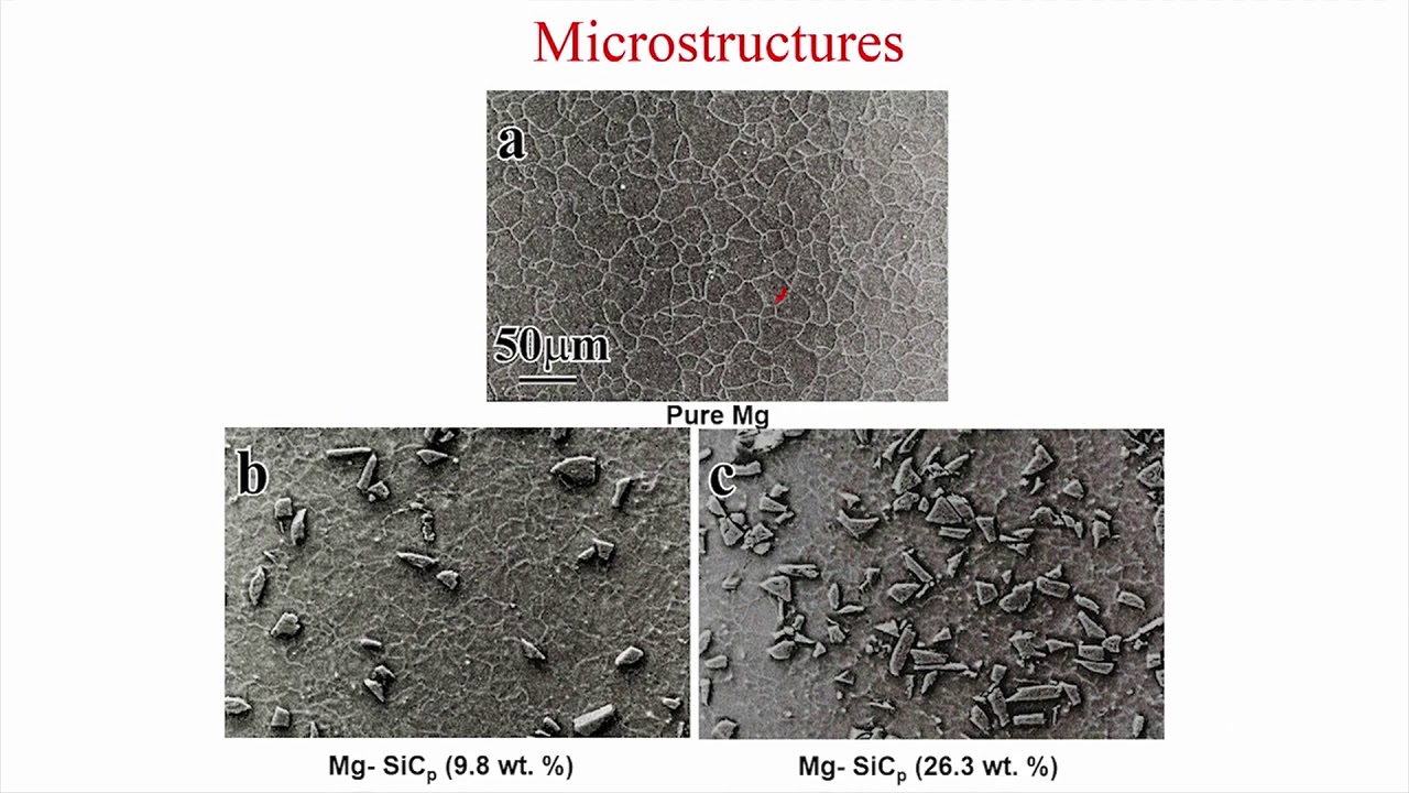 Friction and wear of metal matrix composites