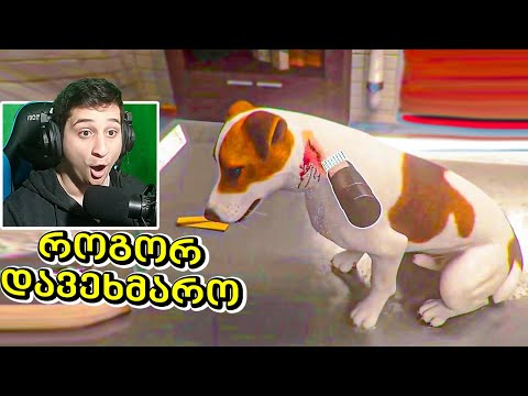 ვეტ კლინიკა ავაშენე - Animal Shelter Simulator ubralod noobi