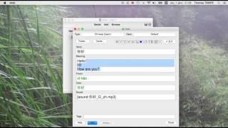 How to use Anki's Chinese Support Add-on