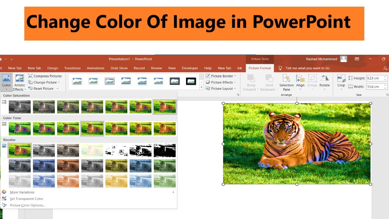How To Change The Color Of A Picture In PowerPoint Image Color Change How To Change The Color Of A Picture In PowerPoint Image Color Change