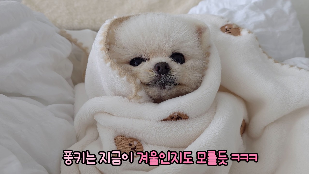 vulnerЛюби только меня! Ревнивый щенок