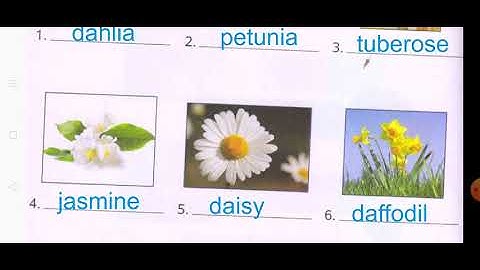 Class 2, subject G.K, lecture 1, chapter 11