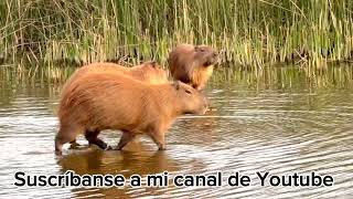 LAGUNA DE LOS PADRES MAR DEL PLATA