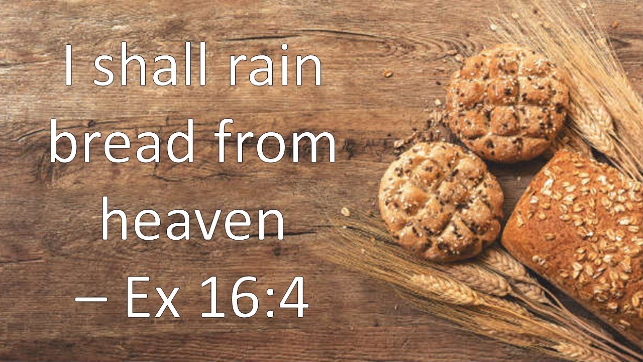 Summary Bread From Heaven Exodus 164 Youtube