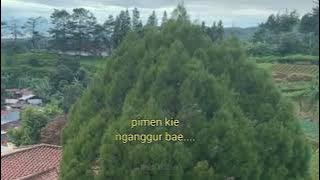 story wa lagu tersyahdu didunia//kere kiye //nganggur bae