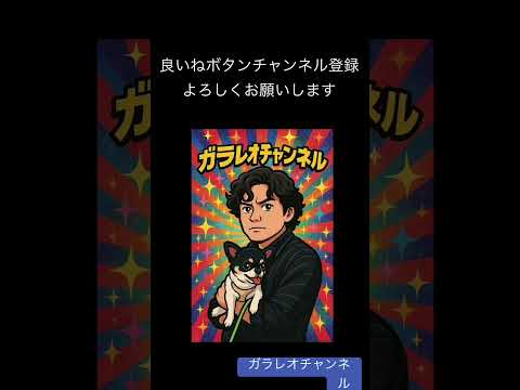 #ビットコイン　#bitcoin  #ドルコスト平均法　#仮想通貨　#暗号資産