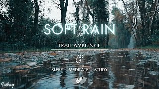 Soft Rain On Trail | NO ADS | Soothing Bird & Rain Sounds For Sleeping
