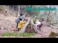 冬から春へ 2026 山暮らし 田舎暮らし 自然育児 食育 forest life homestead selfsufficient lifestyle