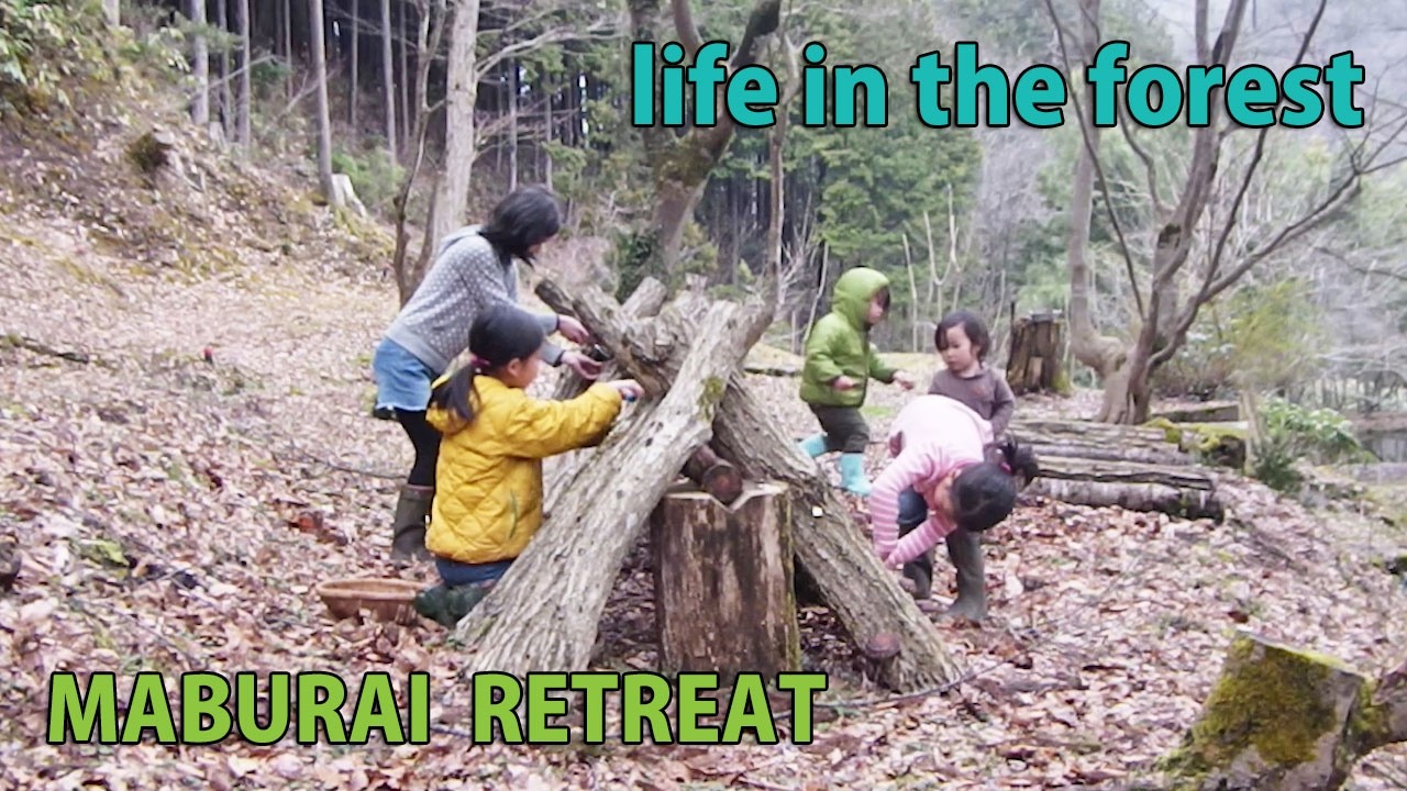 冬から春へ 2026 山暮らし 田舎暮らし 自然育児 食育 forest life homestead selfsufficient lifestyle