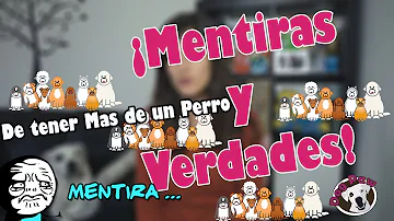 ¿Cuáles son las desventajas de tener 2 perros?