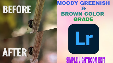 Color Grading Tutorial | Moody Greenish Brown Color Grading Effect | Adobe Lightroom