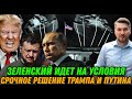 Принято срочное решение. Зеленский пошел на условия. Встреча Путина и Трампа