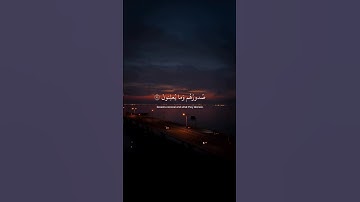 وإن ربك ليعلم ما تكن صدورهم || القارئ اسلام صبحي || حالات واتس اب #قرآن