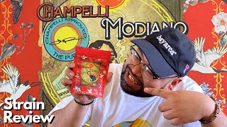 STRAIN REVIEW: MODIANO BY CHAMPELLI415 #champelli #zackwoods #maqui