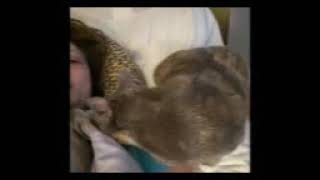 IMG 3300
