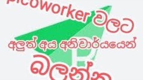 Picoworker | temp success  rata | All time  rate | submit task interval | online job picoworker