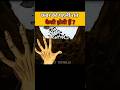 Qabar ki pahli Raat #shorts #shortvideo #viralvideo #facts