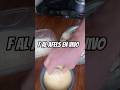 Falafels Veganos #food
