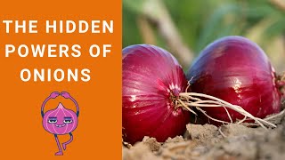 Beyond Flavour: Onions' Surprising Health Benefits 🌱🧅