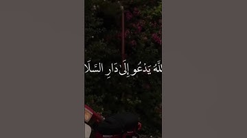 *ما تيسـر مـن سـورة: يونـس**القارئ: عبدالرحمـٰن مسعـد💗* والله يدعو إلى دار السلام