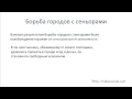 Формирование средневековых городов