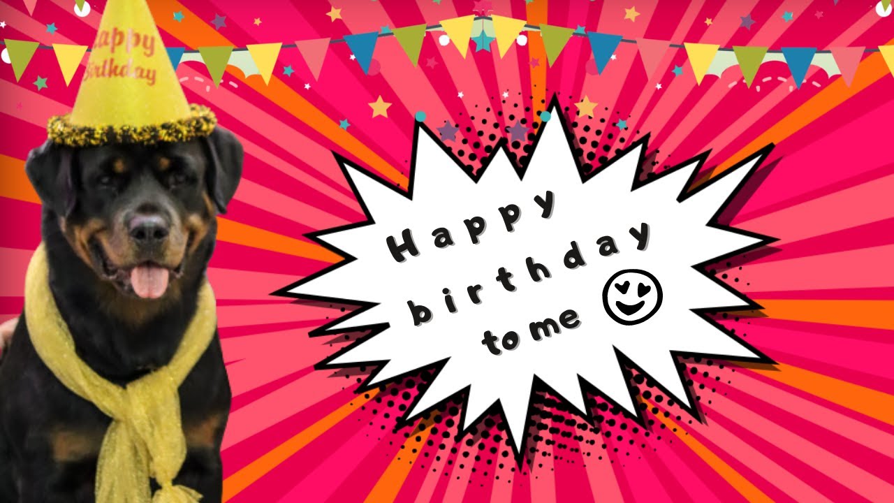 My Rottweiler's Birthday || Dog's 1st Quarantine Birthday || Chatty ...