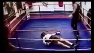 Celebrity Chris Eubank Jr Knocks out sparring partner - February 2016 Profile