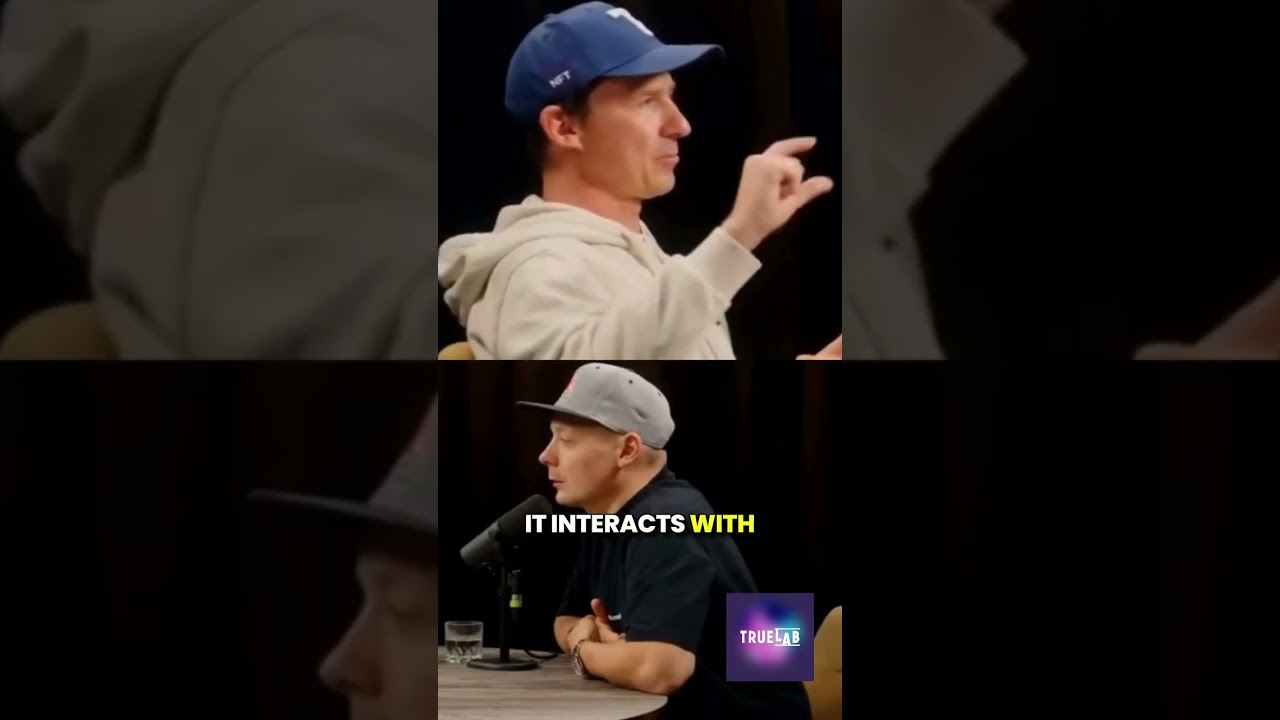 🎙️What’s the difference between a Game provider and a Casino? 🎮 