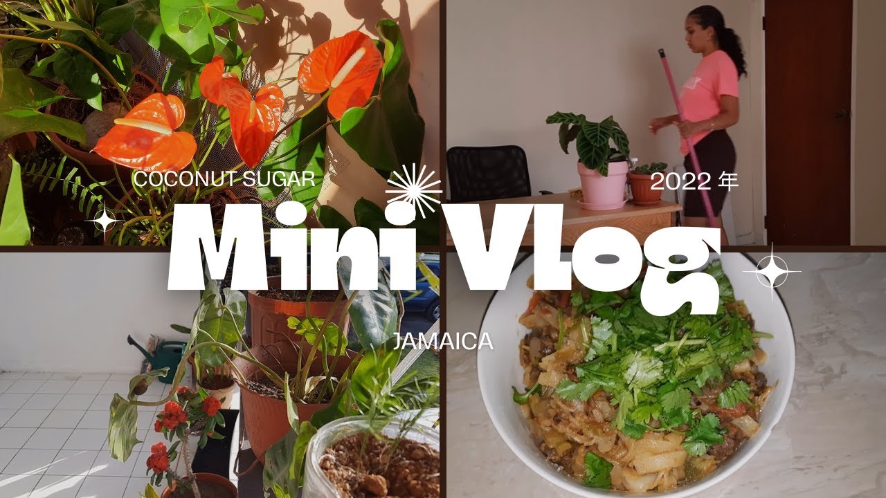 MINI VLOG| Cook a vegan meal with me (Cleaning, cooking, gardening)
