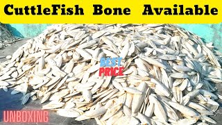 Best Quality Cuttlefish Bone for SALE and unboxing | கட்ஃபிஷ் எலும்பு எங்கே வாங்குவது