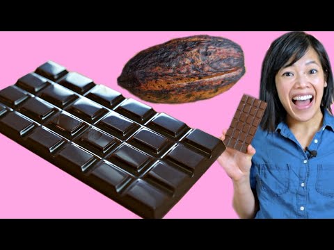 Cocoa POD to CHOCOLATE Bar - How to Make A DIY Bean-to-Chocolate Bar at Home