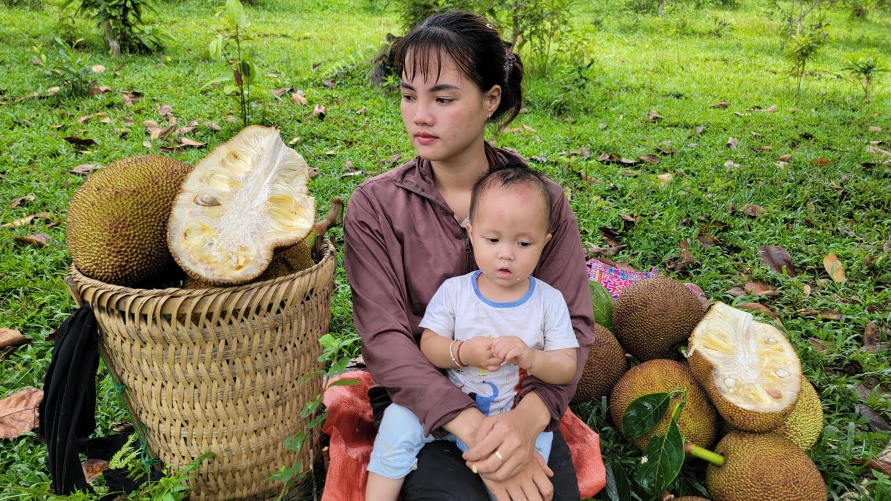 Single Girl: Harvesting Jackfruit and Going to the Market to Sell ...