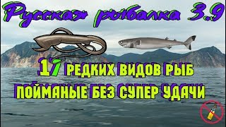 Русская рыбалка 3.9.   17 Редких видов рыб!