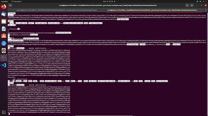 Live Demonstration for Paper Presentation. Event: BlockArch'22 ISCA 2022