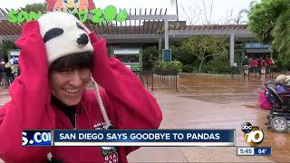 San Diego says goodbye to pandas