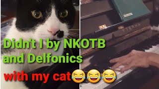 "Didn’t I" by Delfonics and NKOTB piano cover with my cat