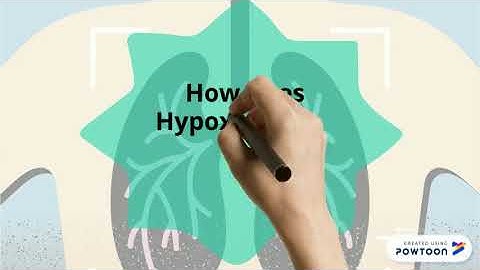 Copy of Hypoxic Drive- Video Lecture
