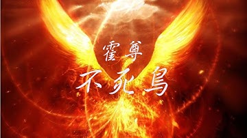 不死鳥終究是不死鳥 Youtube