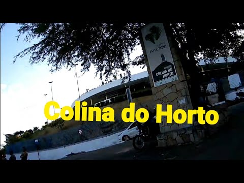 Subida ao Horto