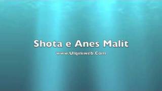 Vignette de la vidéo "Shota Anes Malit"