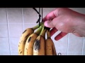 Как хранить бананы - мой способ